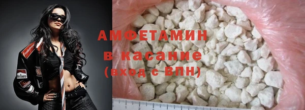 молекула духа Богданович