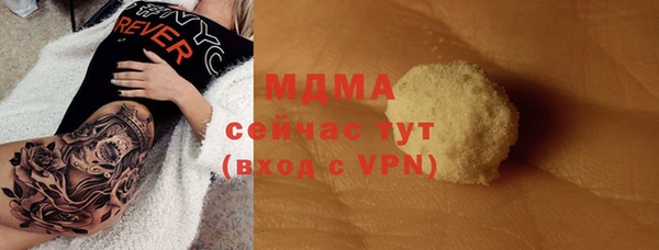 молекула духа Богданович