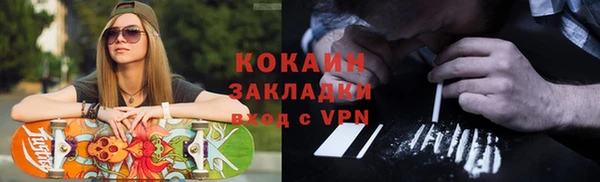 молекула духа Богданович