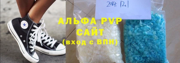 молекула духа Богданович