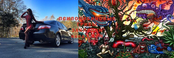 молекула духа Богданович