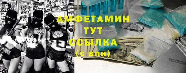 молекула духа Богданович