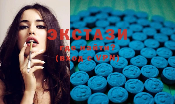 молекула духа Богданович
