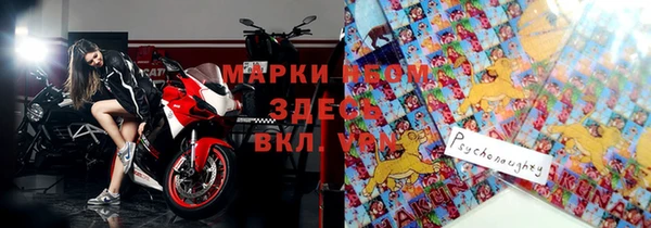 молекула духа Богданович