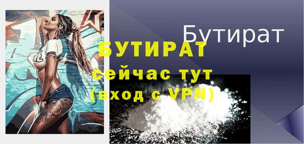 молекула духа Богданович
