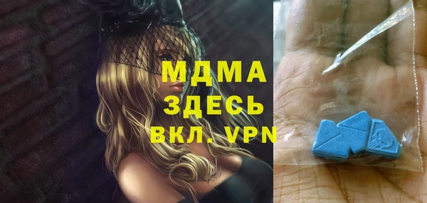 молекула духа Богданович