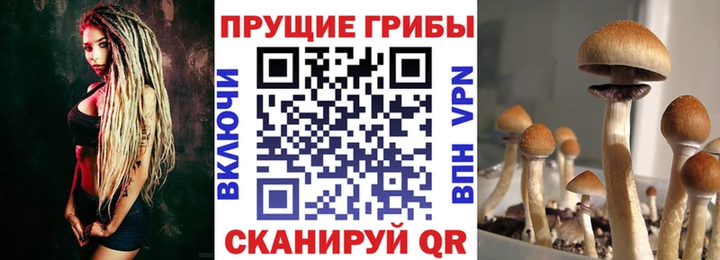 Галлюциногенные грибы прущие грибы  hydra зеркало  Циолковский  хочу наркоту 