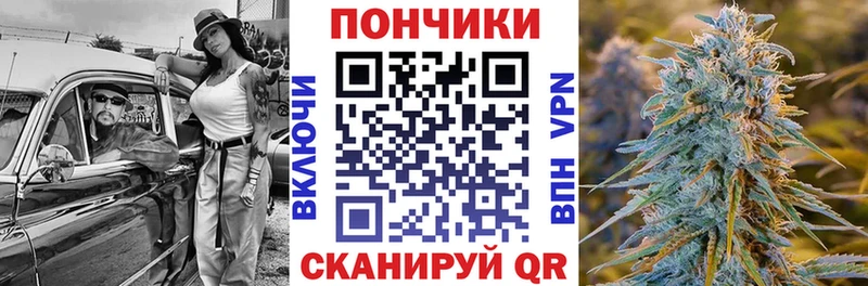где купить наркоту  ОМГ ОМГ маркетплейс  Бошки Шишки Bruce Banner  Циолковский 